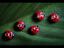 Load image into Gallery viewer, L006 Red Ladybird Buttons