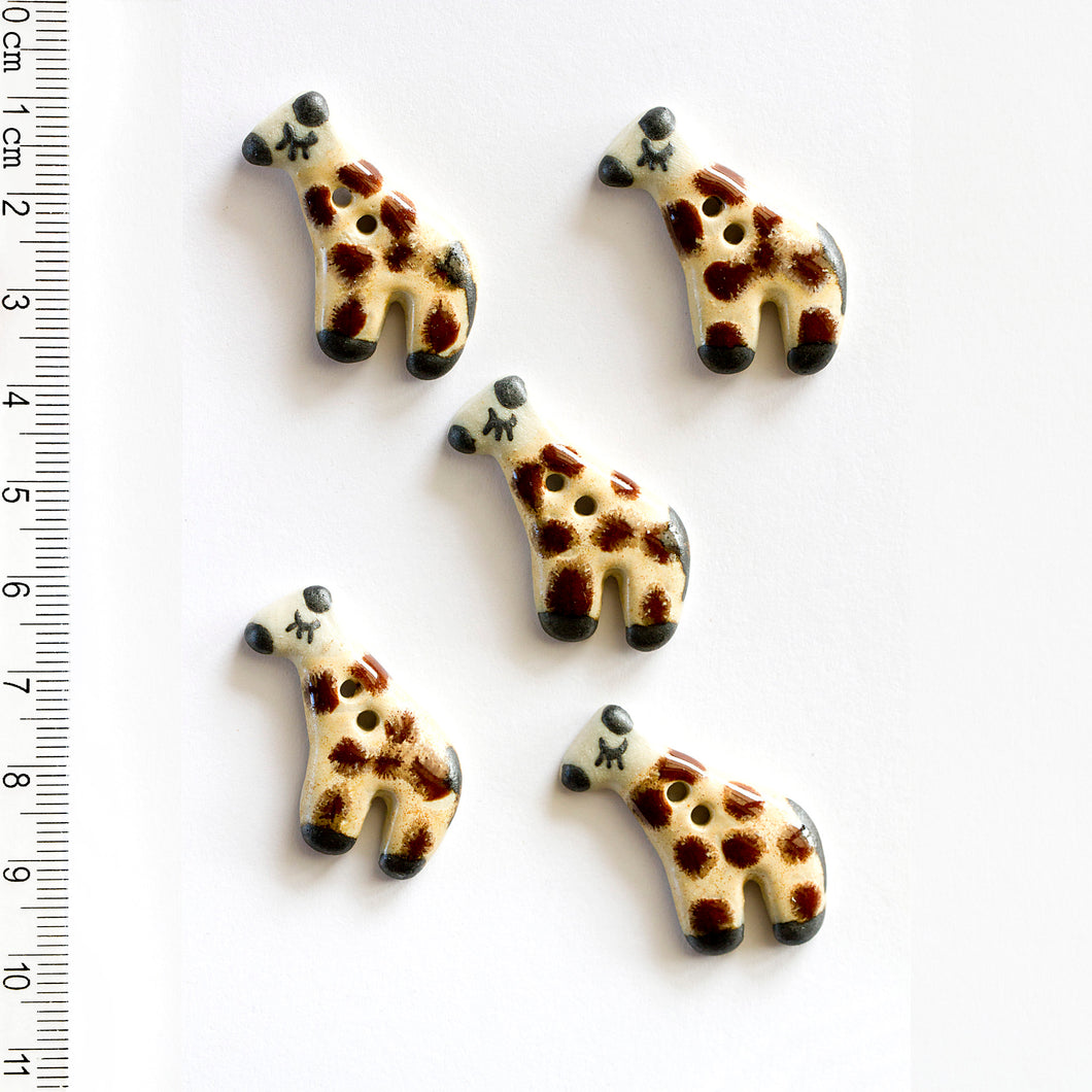 L259 Giraffes