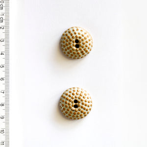 L587 Raised Dots