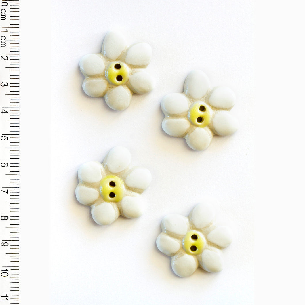 L089 Flowers