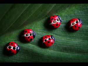 L006 Red Ladybirds